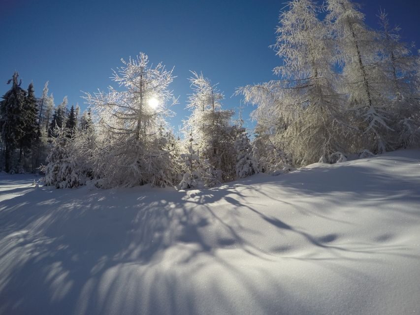 From Krakow: 3-Hour Skiing Experience Suitable for Beginners - Siepraw Ski Complex: The 350-Meter Slope Built for Beginners