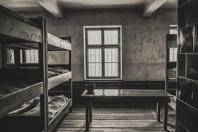 From Krakow: Auschwitz-Birkenau and Salt Mine with Private Transfer - Private Krakow transfer: less hassle, more time on site