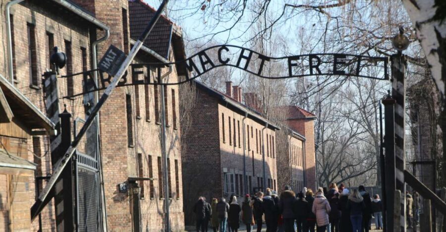From Krakow: Auschwitz-Birkenau and Self-Guided Day Tour - Key things to know before you go