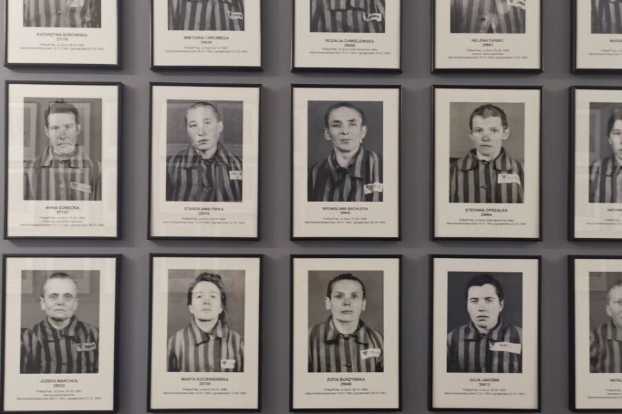 From Krakow: Auschwitz-Birkenau Camp Complex Guided Day Trip - Key Highlights to Know Before You Go