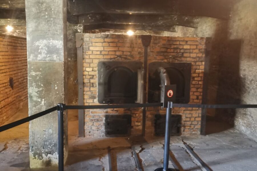 From Krakow: Auschwitz-Birkenau Camp Complex Guided Day Trip - What to Bring (and What Not to Do) for a Smooth Visit