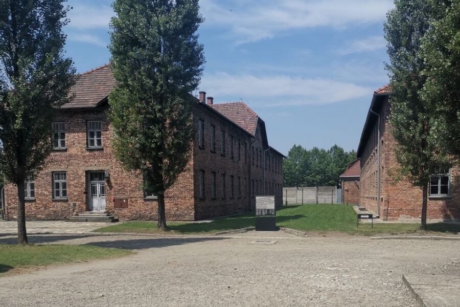 From Krakow: Auschwitz-Birkenau Camp Complex Guided Day Trip - Auschwitz-Birkenau From Krakow: The Value of a Guided, Structured Day