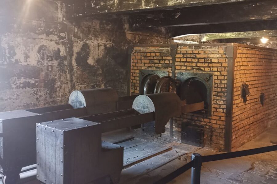 From Krakow: Auschwitz-Birkenau Camp Complex Guided Day Trip - Auschwitz Block Visit: How the Tour Helps You Read the Space
