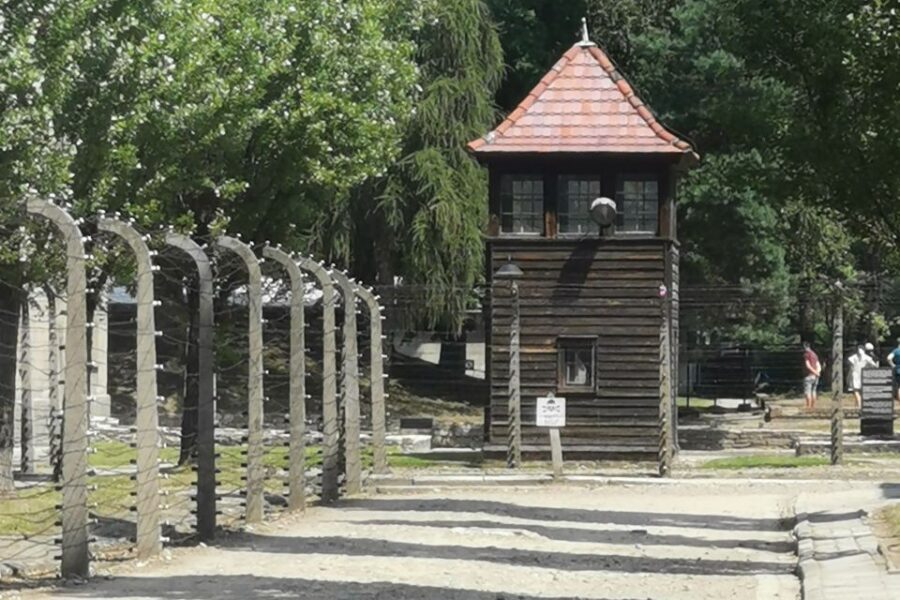 From Krakow: Auschwitz-Birkenau Camp Complex Guided Day Trip - Crossing Over to Birkenau: Seeing the Gas Chambers and Crematoria