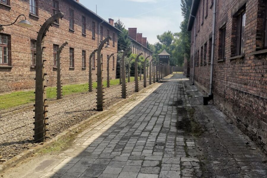From Krakow: Auschwitz-Birkenau Camp Complex Guided Day Trip - Price and Value: Is $83 a Good Deal for This Kind of Trip?