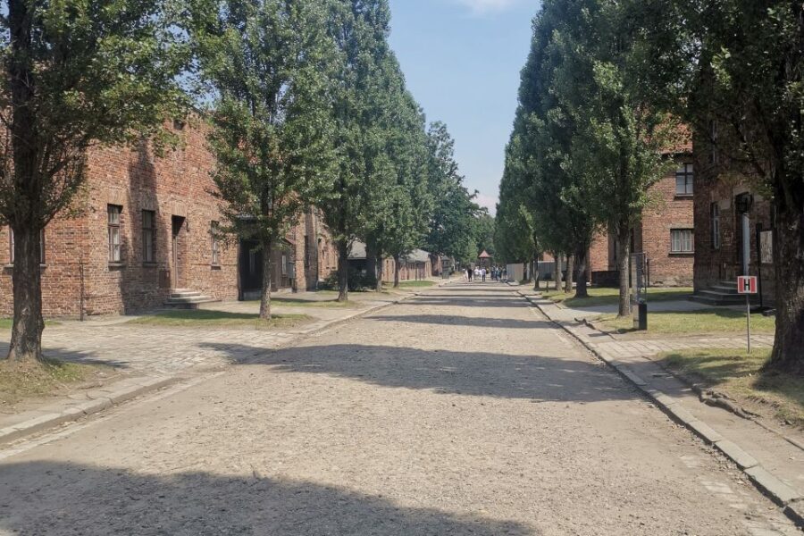 From Krakow: Auschwitz-Birkenau Camp Complex Guided Day Trip - Language and Audio: Italian Guidance You Can Follow