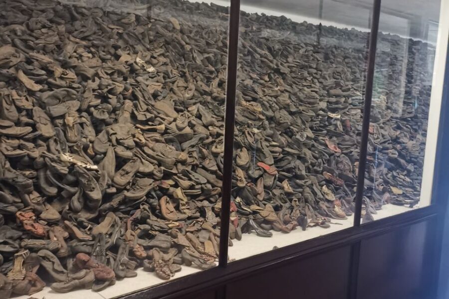 From Krakow: Auschwitz-Birkenau Camp Complex Guided Day Trip - Pickup From Krakow and the Drive That Sets the Tone