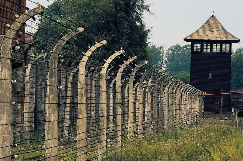 From Krakow: Auschwitz-Birkenau Day Tour with Pickup - Birkenau Transition: A Short Break Before the Scale Hits
