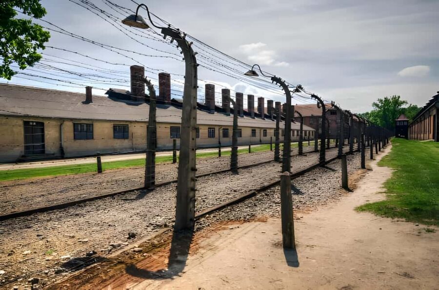 From Krakow: Auschwitz-Birkenau Full-Day Guided Tour - Key Highlights You’ll Feel Immediately