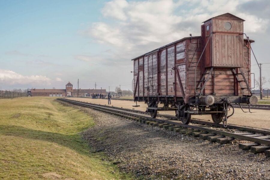 From Krakow: Auschwitz-Birkenau Full-Day Guided Tour - Who Should Book, and Who Might Want a Different Option