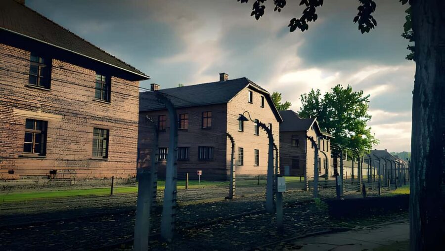 From Krakow: Auschwitz-Birkenau Full-Day Guided Tour - Getting Through the Rules: ID, Clothing, Bags, and Comfort