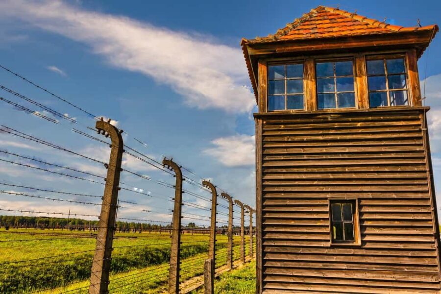 From Krakow: Auschwitz-Birkenau Full-Day Guided Tour - Price and Value: What $89 Actually Buys You