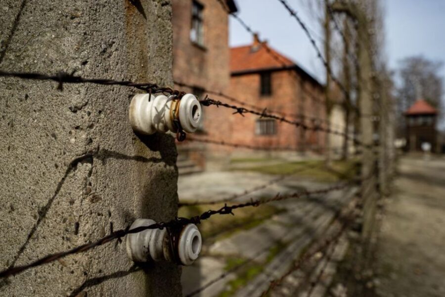 From Krakow: Auschwitz-Birkenau Full-Day Tour - The 15-minute break: use it like a pro