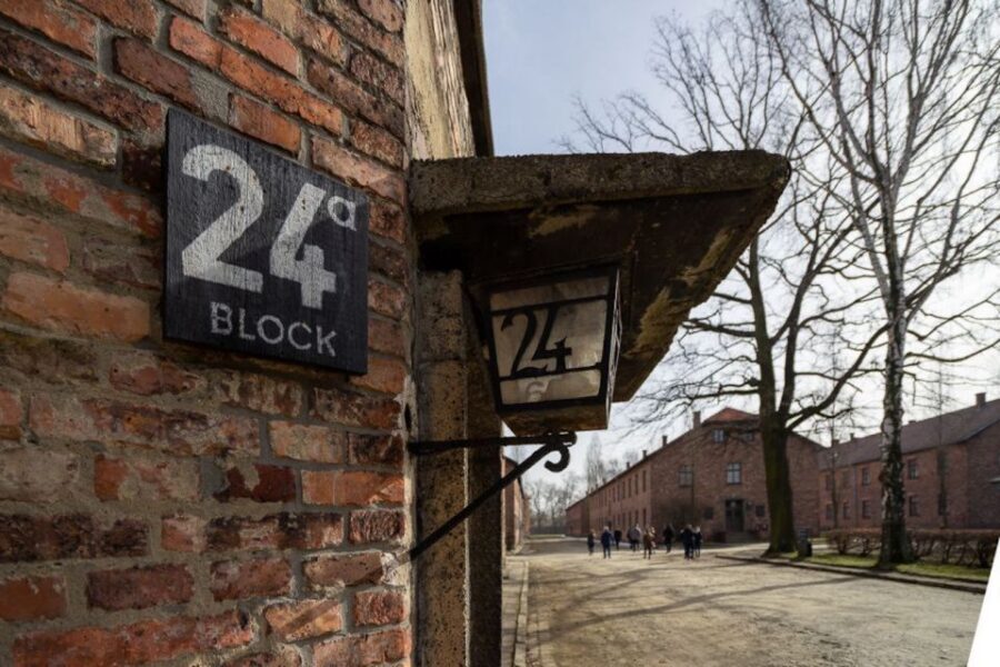 From Krakow: Auschwitz-Birkenau Full-Day Tour - Pacing, crowds, and the one thing that can feel rushed