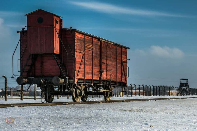 From Krakow: Auschwitz-Birkenau Guided Tour & Pickup - Auschwitz-Birkenau Day Trip From Krakow: The Timing That Shapes Your Day