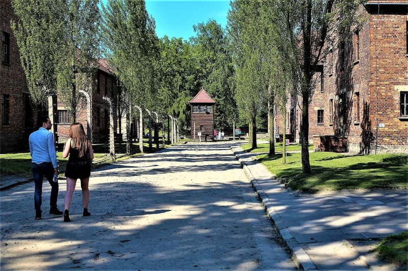 From Krakow: Auschwitz-Birkenau Guided Tour & Pickup Options - Professional commentary in English: how guides affect the experience