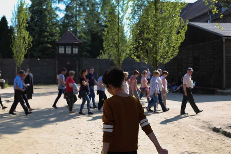 From Krakow: Auschwitz-Birkenau Guided Tour & Pickup Options - Seeing what’s been preserved: gas chambers, platforms, and period artifacts