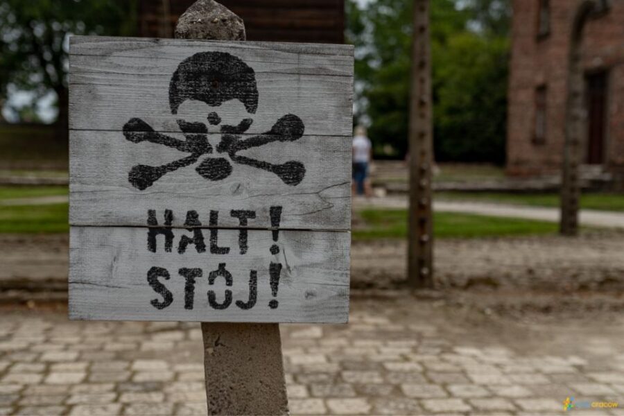 From Krakow: Auschwitz-Birkenau Guided Tour, Several Options - Group Size, Headsets, and Guide Style (Why It Changes Everything)