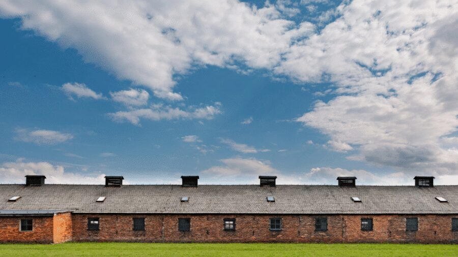 From Krakow: Auschwitz-Birkenau Guided Tour, Several Options - Price and Value: Why This Costs What It Costs