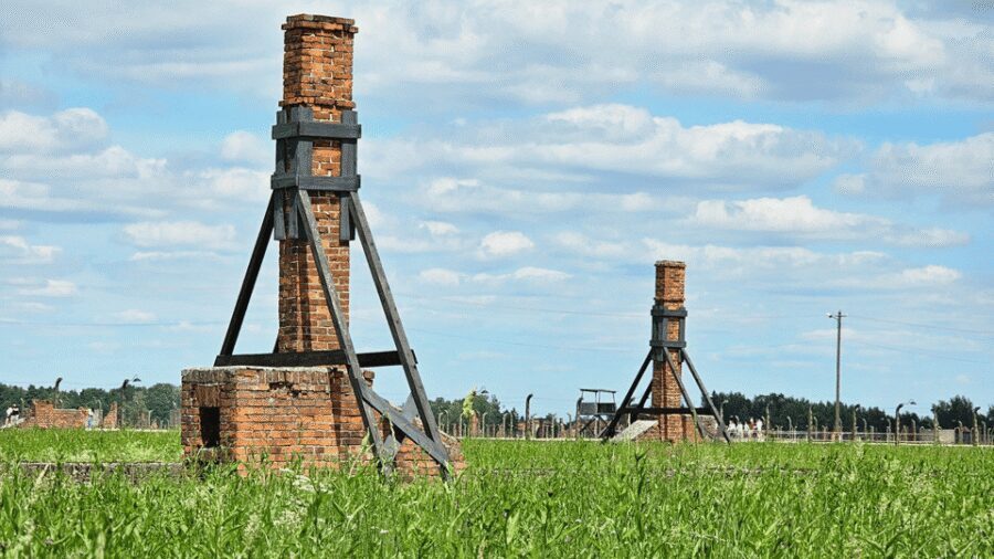 From Krakow: Auschwitz-Birkenau Guided Tour, Several Options - Practical Reality Check: What to Pack and How to Prepare