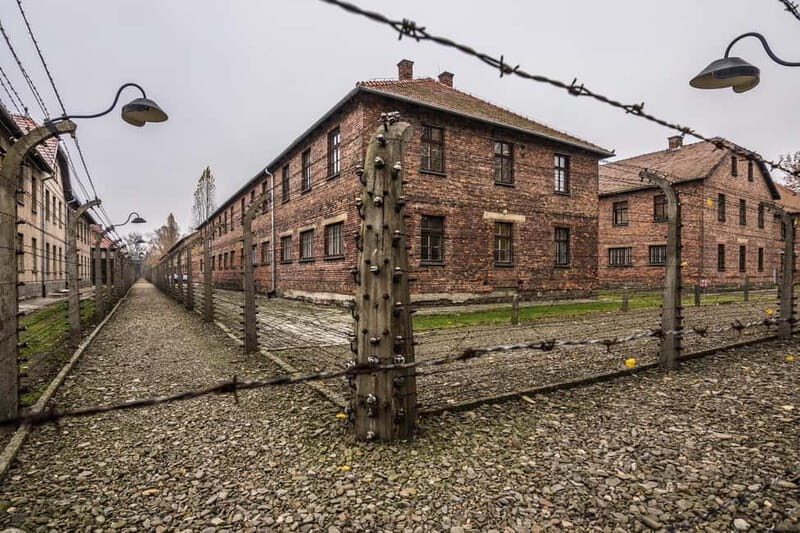 From Krakow: Auschwitz-Birkenau Guided Tour & Transportation - The Real Logistics: Pickup Times, Group Timing, and Small-Bag Rules