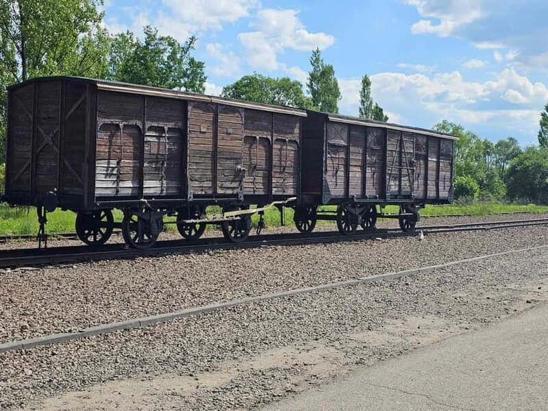 From Krakow: Auschwitz-Birkenau Guided Tour with Pickup - The van ride to Oświęcim: how to use the time