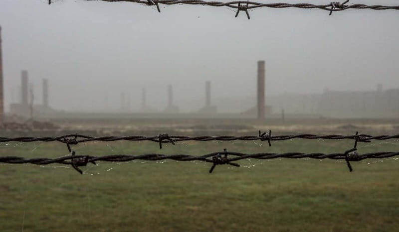 From Krakow: Auschwitz-Birkenau Guided Tour with Transport - Timing and Crowd Reality: Why 7–10 Hours Can Feel Longer