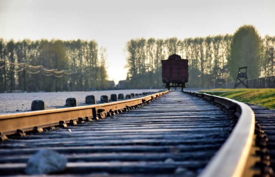 From Krakow: Auschwitz-Birkenau Live Guided Tour & Pickup - Timing and What the 8-Hour Day Really Feels Like