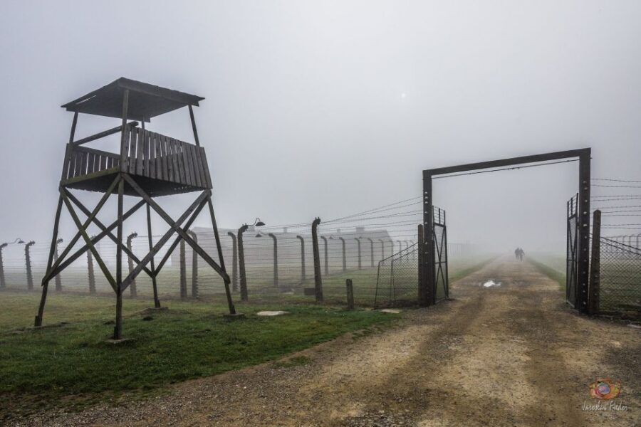 From Krakow: Auschwitz-Birkenau Live Guided Tour & Pickup - Should You Book This Auschwitz-Birkenau Tour?