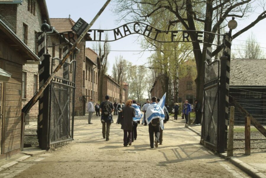 From Krakow: Auschwitz-Birkenau Memorial and Museum Tour - Key Highlights You Should Know Before You Go