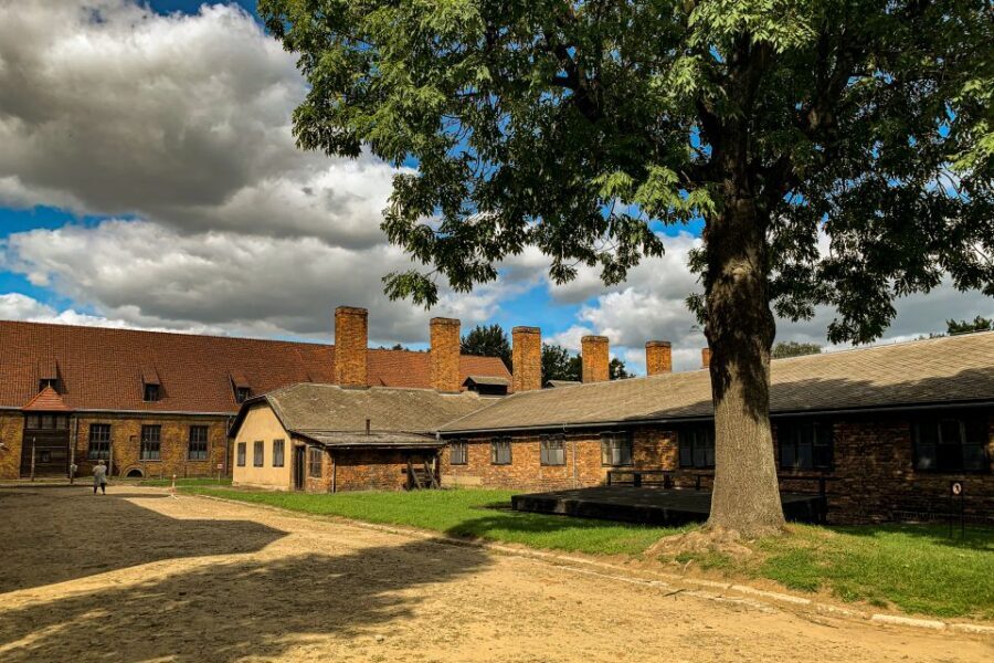 From Krakow: Auschwitz-Birkenau Memorial and Museum Tour - The Liberation Film Moment: Why It Changes How You Interpret the Grounds