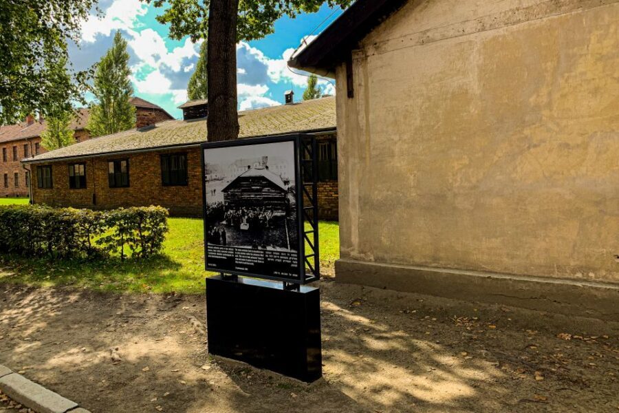 From Krakow: Auschwitz-Birkenau Memorial and Museum Tour - Skip-the-Line Entry and the Booking Rules That Affect Your Day