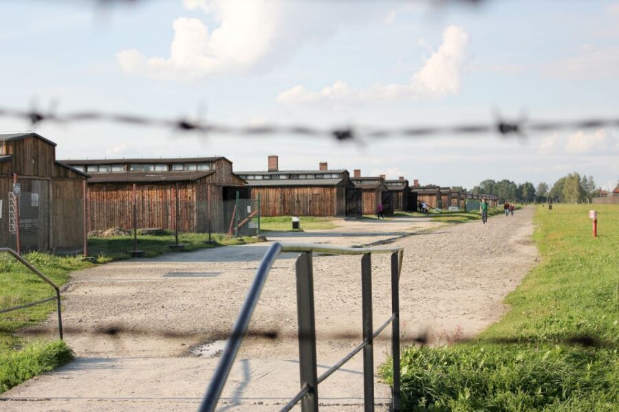 From Kraków: Auschwitz-Birkenau Memorial Guided Tour - Key highlights to know before you go
