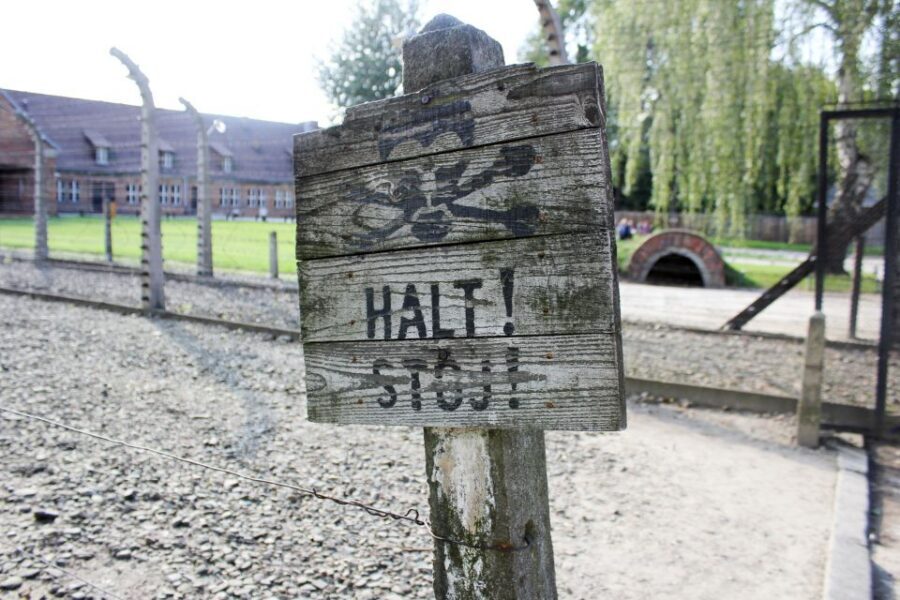 From Kraków: Auschwitz-Birkenau Memorial Guided Tour - Auschwitz-Birkenau from Kraków: what this guided format really delivers