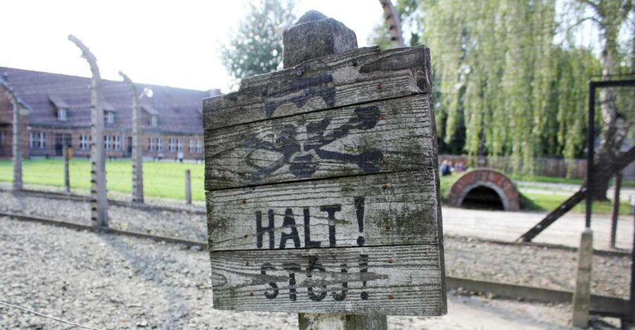 From Kraków: Auschwitz-Birkenau Memorial Guided Tour - Inside the memorial: what you’ll actually see and how the guide changes it
