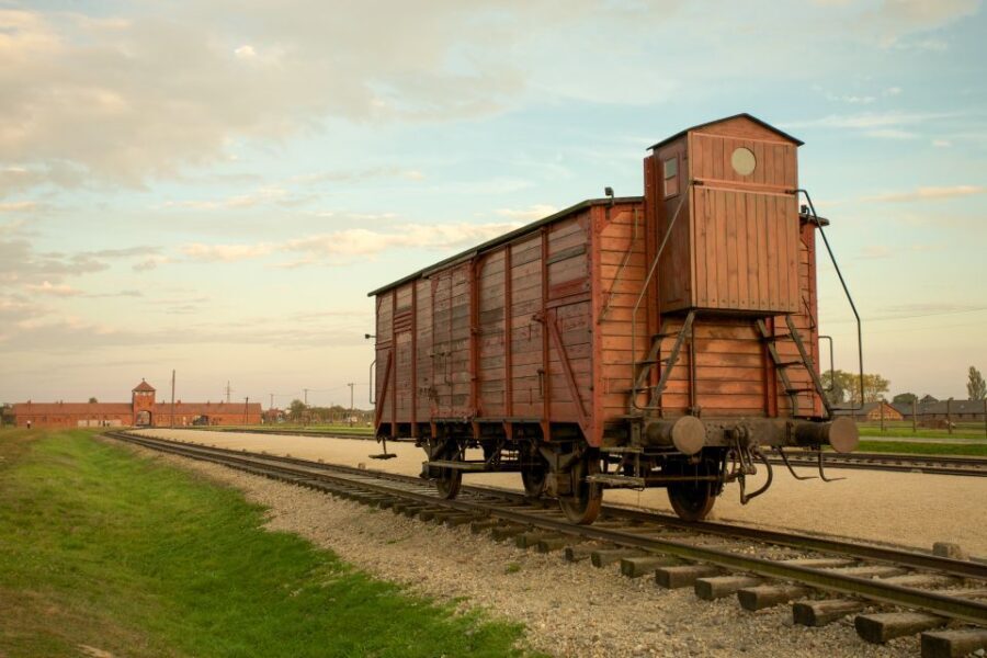 From Kraków: Auschwitz-Birkenau Memorial Guided Tour - What could trip you up: early pick-ups and day-of comfort