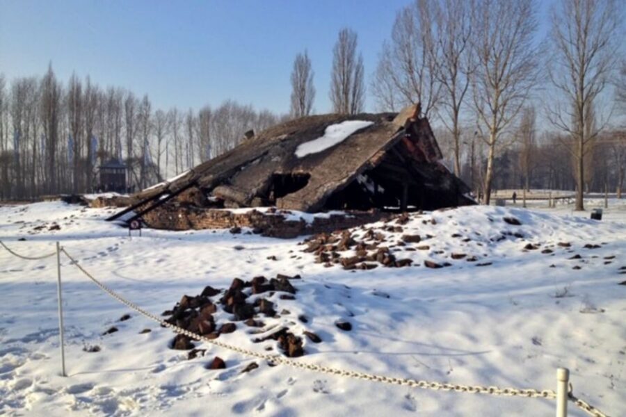 From Krakow: Auschwitz-Birkenau Private or Shared Tour - Practical tips that make the day easier (and more respectful)
