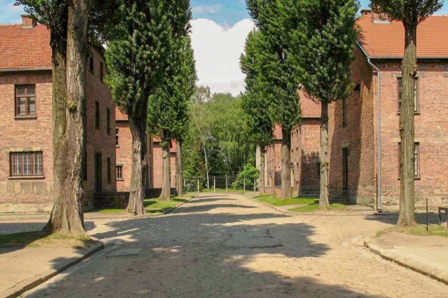 From Krakow: Auschwitz-Birkenau & Schindler's Factory Tour - Birkenau Realities: Cold Air, Crowds, and What to Pack
