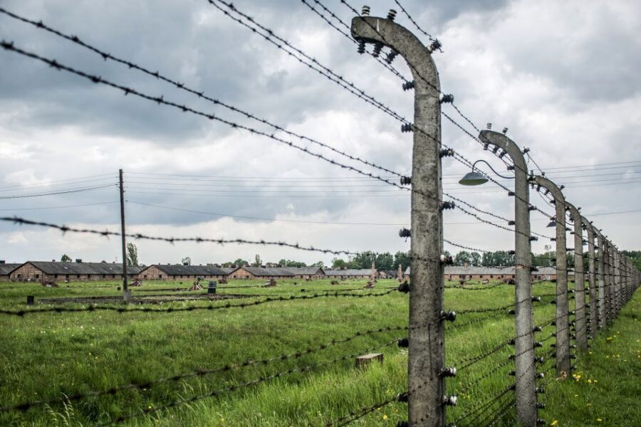 From Krakow: Auschwitz Birkenau Self-Guided Tour - Price and value: is $21 a bargain or a compromise?