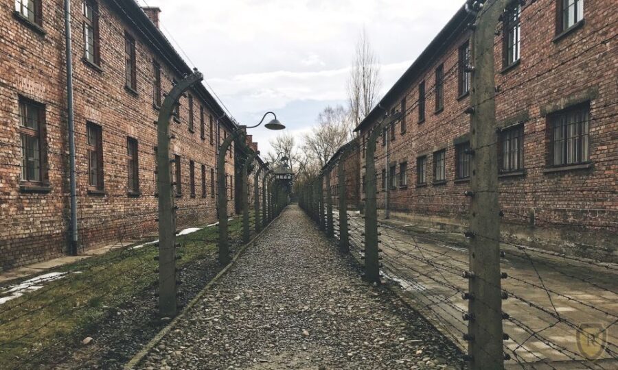 From Krakow: Auschwitz Birkenau Self-Guided Tour - Krakow-to-Auschwitz logistics: what this trip gets right