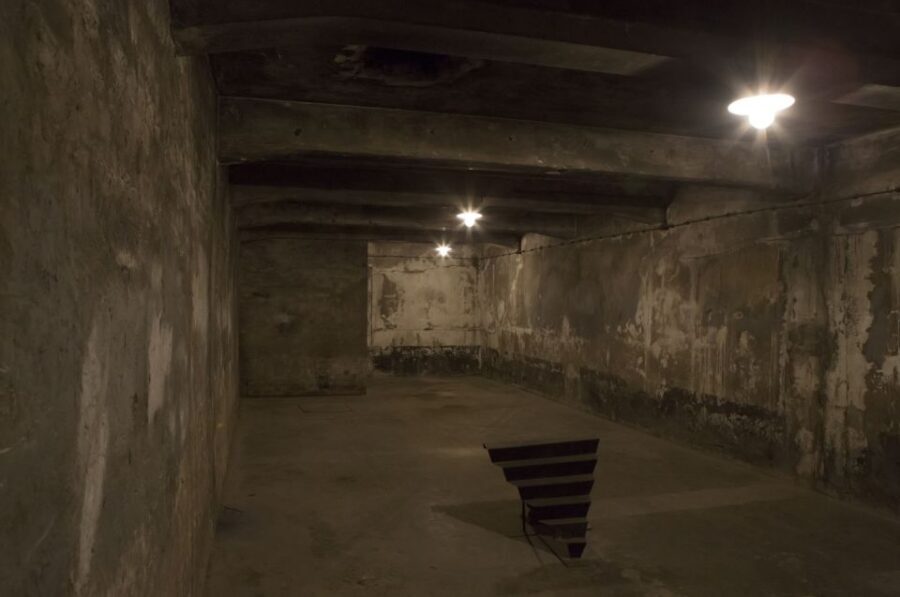 From Krakow: Auschwitz-Birkenau Tour - A 7-hour Auschwitz-Birkenau day from Krakow that doesn’t waste time