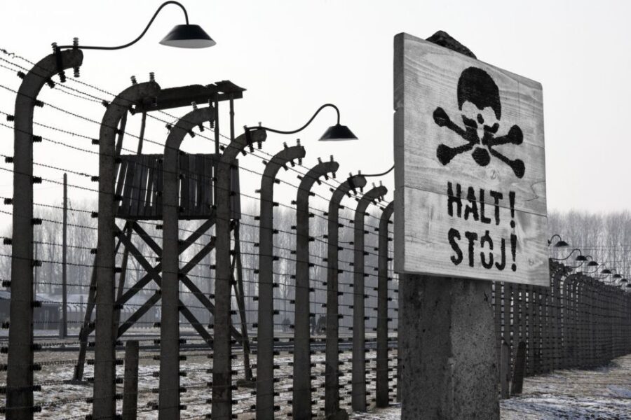 From Krakow: Auschwitz-Birkenau Tour - Who this tour suits best (and who might want to skip it)