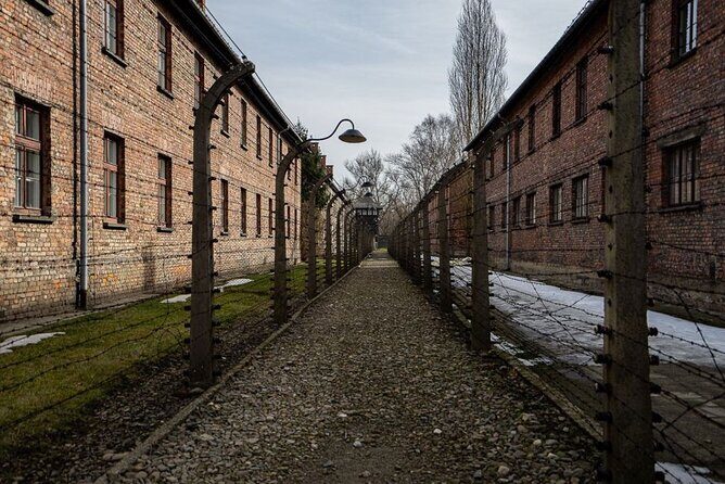 From Kraków: Auschwitz-Birkenau Tour with Lunch Box and Pick Up - Who this tour fits best (and who should rethink it)