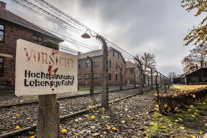 From Krakow: Auschwitz-Birkenau Tour with Transfer - Timing, waiting lines, and how to plan your day