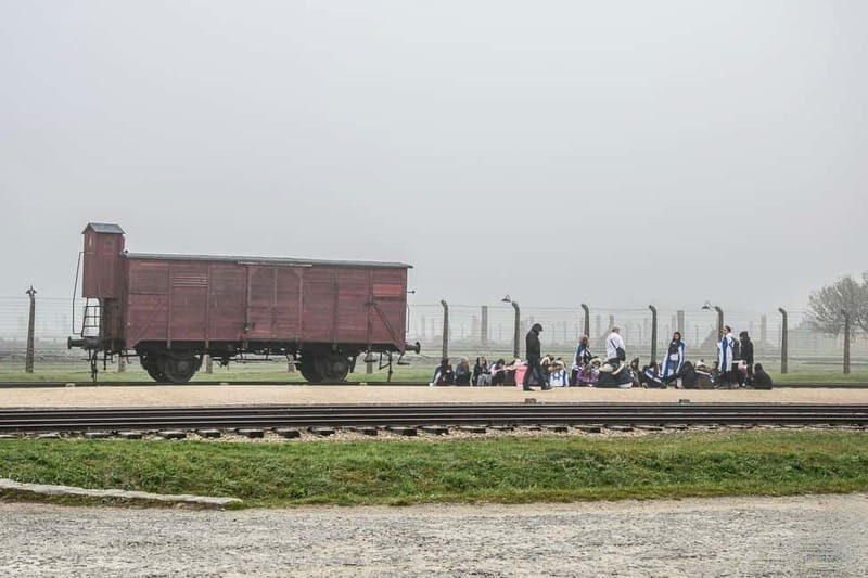 From Krakow: Auschwitz-Birkenau Tour with Transfer - Who this Auschwitz-Birkenau tour is best for