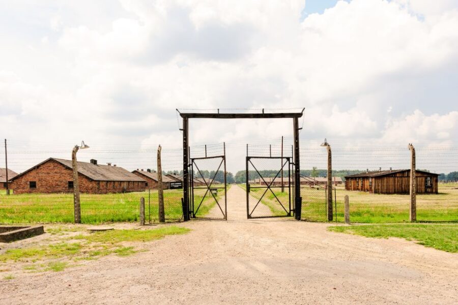 From Krakow: Auschwitz-Birkenau Tour with Transportation - Key Things That Make This Tour Work