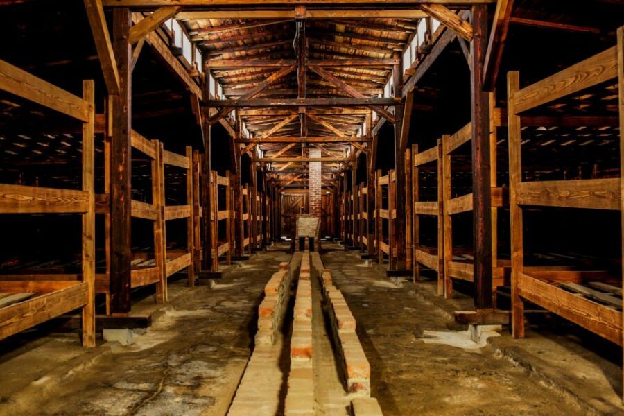 From Krakow: Auschwitz-Birkenau Tour with Transportation - Should You Book This Auschwitz-Birkenau Day Trip from Krakow?