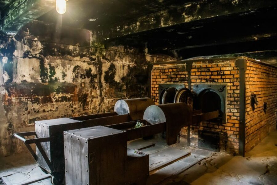 From Krakow: Auschwitz-Birkenau Tour with Transportation - Who This Tour Suits Best—and Who Should Rethink It