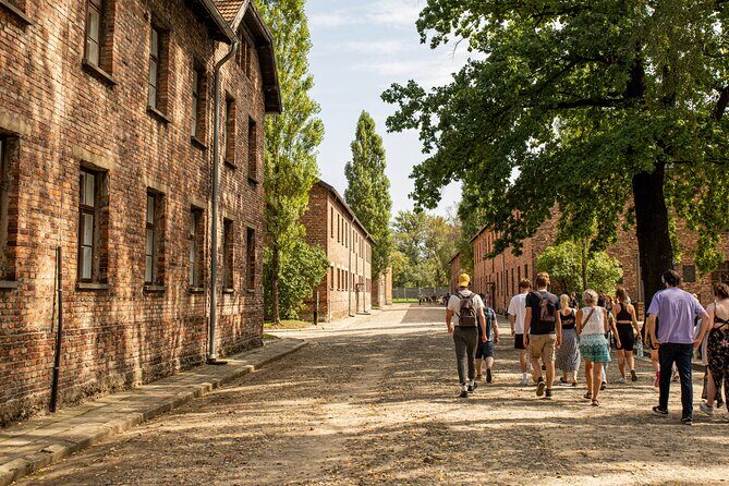 From Krakow: Auschwitz-Birkenau Trip with Transport - Group size and hearing the guide: what 35 people feels like at a memorial