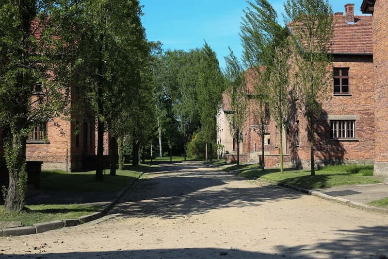 From Krakow: Auschwitz Museum and Wieliczka Salt Mine Tour - How the day is timed (and what can feel tight)